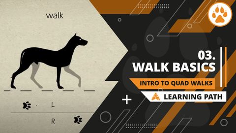 03 | Walk Basics